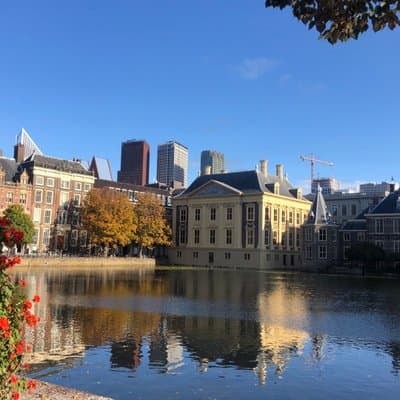 Rotterdam Delft and The Hague Premium Day Tour with Hotel Pickup
