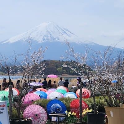 Private Tour of Mount Fuji with English speaking driver