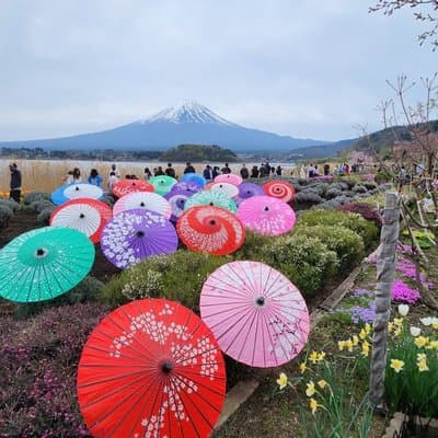 Private Tour of Mount Fuji with English speaking driver 3