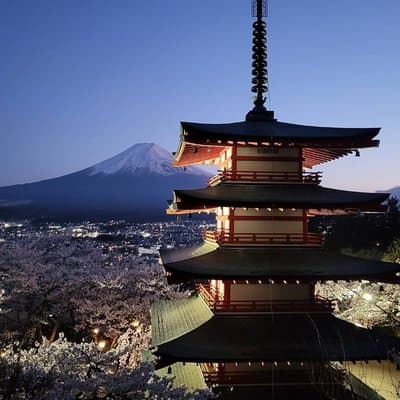 Mt. Fuji Private Car Tour from Tokyo 3