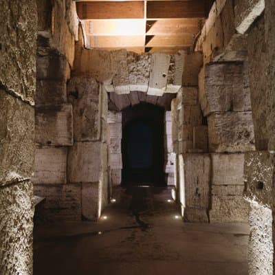 Colosseum Special Access Arena Floor and Roman Forum Tour 4