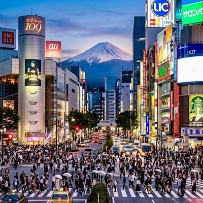 Private Curated Tour | Get Tokyo’s Must Sees & Unique Insights