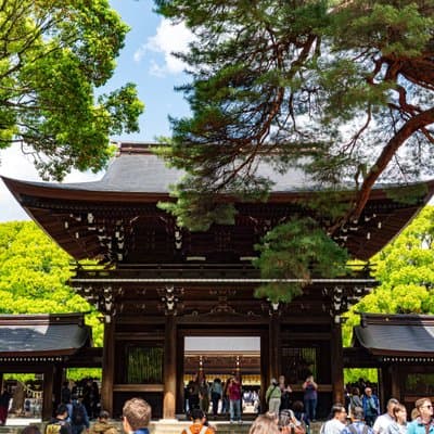 Tokyo Meiji Shrine and Shinto Culture Walking Tour 5