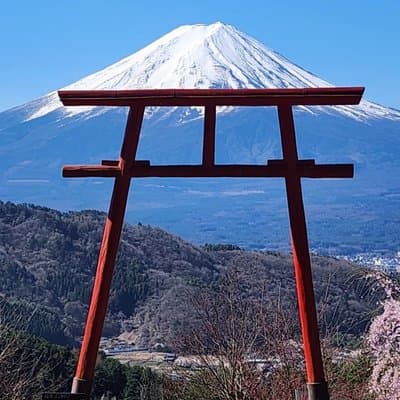Private Tour of Mount Fuji with English speaking driver 2