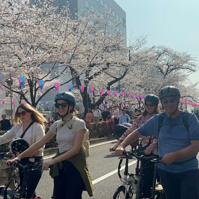 TOKYO 4hr Hidden Gardens Tour Guided by a Gardener E-bike or Walk