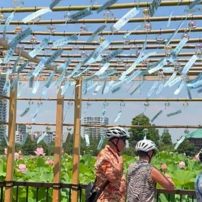 TOKYO 4hr Hidden Gardens Tour Guided by a Gardener E-bike or Walk 2